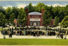 The History of Brooklyn Zoo