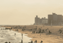 Brooklyn citizens are on vacation by the water