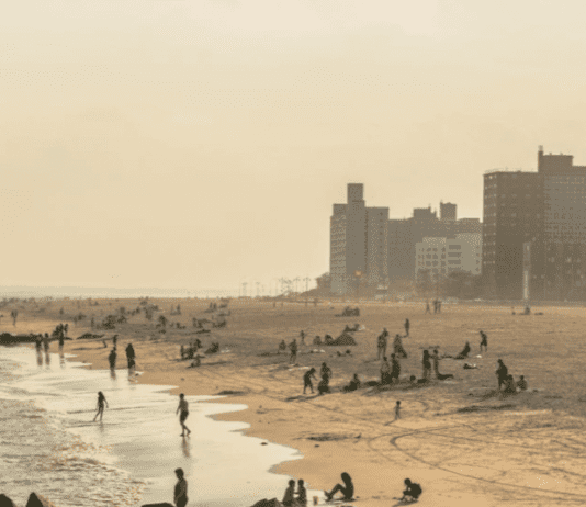 Brooklyn citizens are on vacation by the water