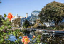 Brooklyn Botanic Garden – an oasis in the concrete jungle