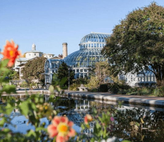 Бруклінський ботанічний сад – оазис кам’яних джунглів