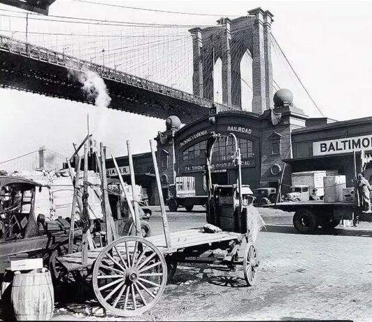 How Brooklyn was saved from sewage. The history of sewer construction