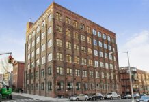 Cleanliness is destroying Brooklyn’s ecology