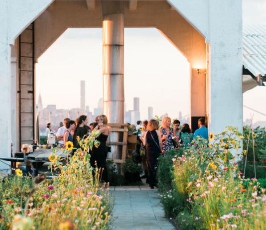 Зелені дахи Брукліну: екотренд чи успішна бізнес-ідея?