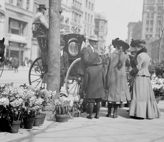 Квітковий бізнес в Брукліні — місцеві осередки, які привносять яскравість і життя на вулиці