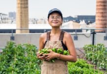 The most interesting farms in Brooklyn: Rooftop farms as a step toward sustainable development of the borough
