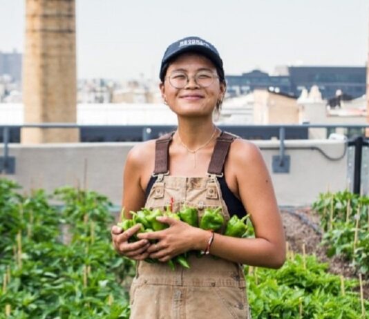 Найцікавіші ферми Брукліну — ферми на дахах, як один із кроків до сталого розвитку боро