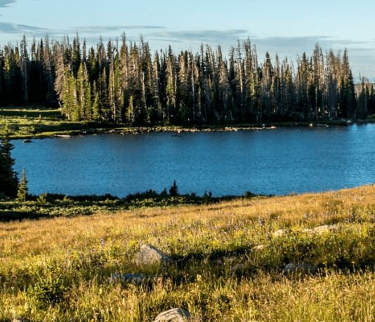 Водний світ боро — п’ятірка найкращих озер поблизу Брукліну