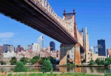 Environmental Situation in Brooklyn: Influencing Factors and Ways to Address Them