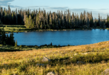 The Aquatic World of the Borough: The Five Best Lakes Near Brooklyn