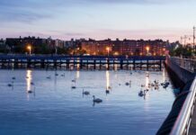 The Challenging Fishing Fate of Sheepshead Bay