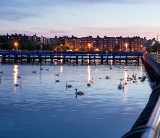The Challenging Fishing Fate of Sheepshead Bay