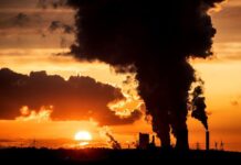 What Do Brooklynites Breathe? The Air Quality in the Borough