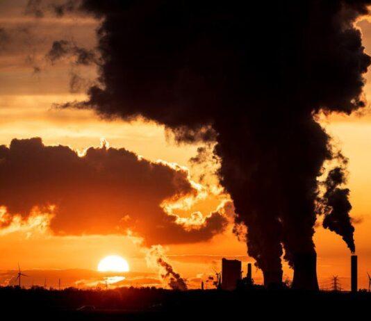 What Do Brooklynites Breathe? The Air Quality in the Borough