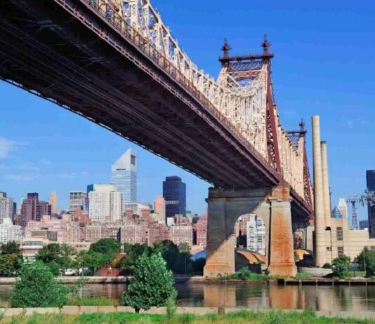 Environmental Situation in Brooklyn: Influencing Factors and Ways to Address Them