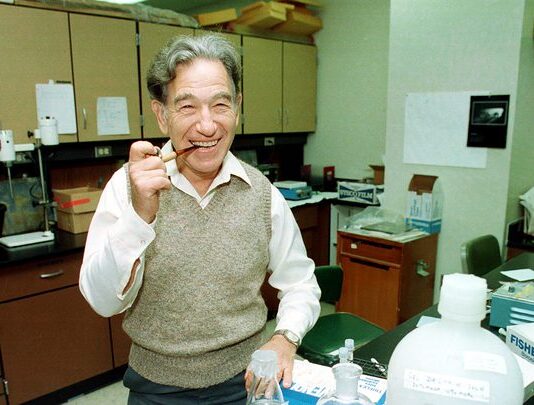 The Complex Fishing History of Sheepshead Bay