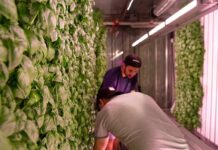 Next-Generation Farmers Training Program – A Brooklyn Company Shares Its Expertise