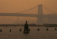 Ways of air pollution in Brooklyn and how to improve its quality