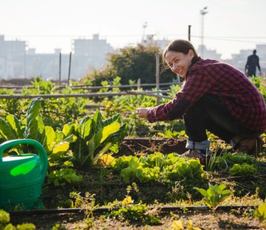Бруклінське озеленення — городина в середмісті, регенеративність в дизайні