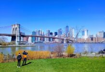 Brooklyn Bridge Park