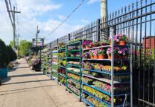Dragonetti Florist & Garden Center