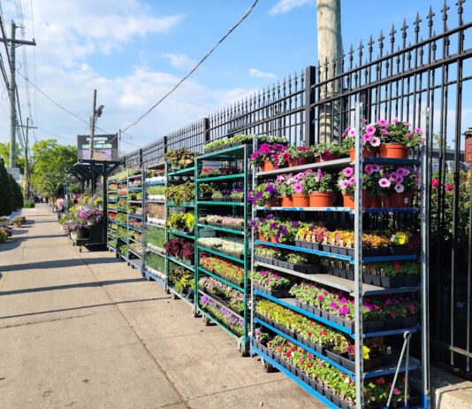 Dragonetti Florist & Garden Center