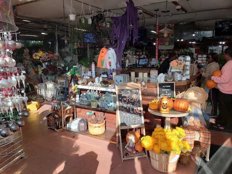Dragonetti Florist & Garden Center