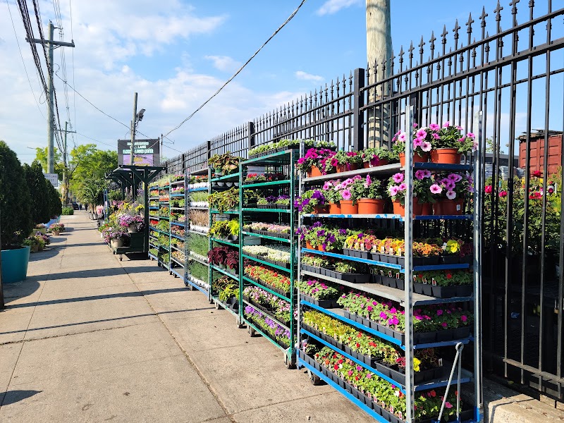 Dragonetti Florist & Garden Center