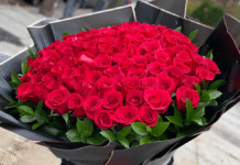 Fiori Flowers