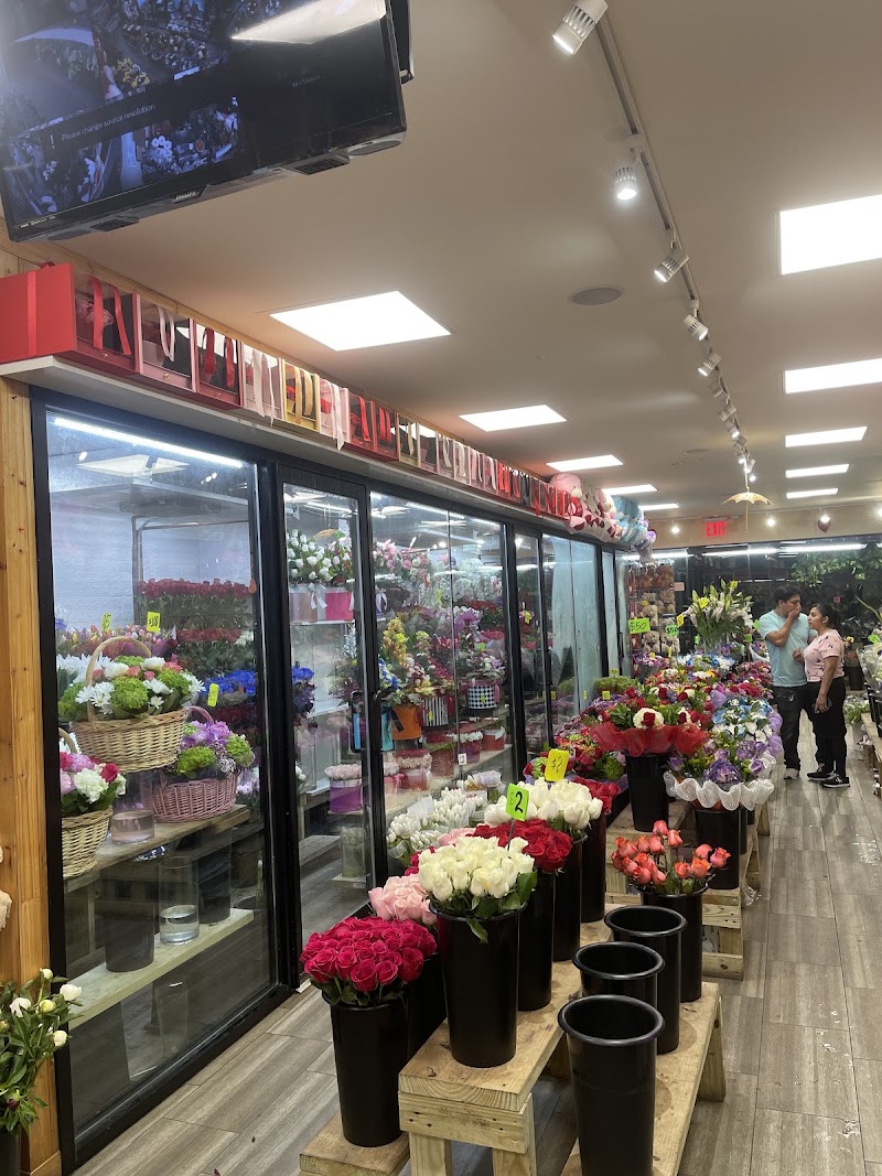 Fiori Flowers