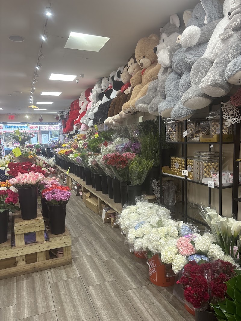 Fiori Flowers