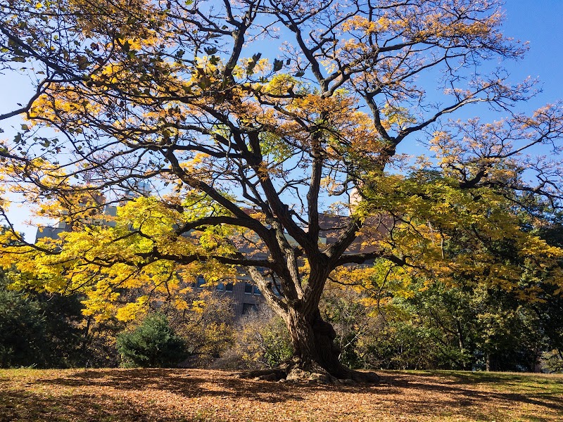 Fort Greene Park