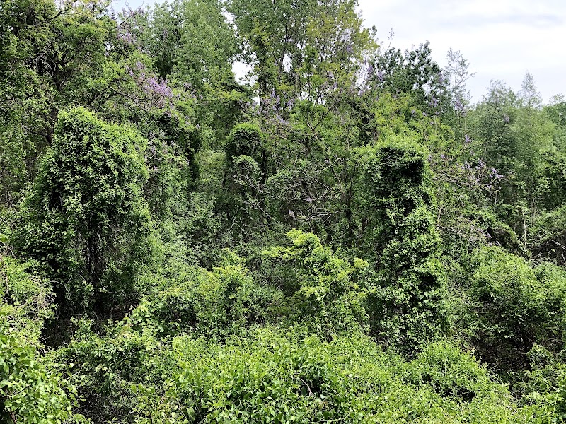 Highland Park