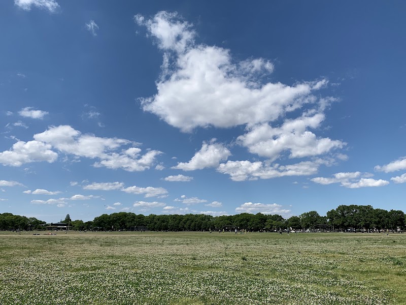 Marine Park
