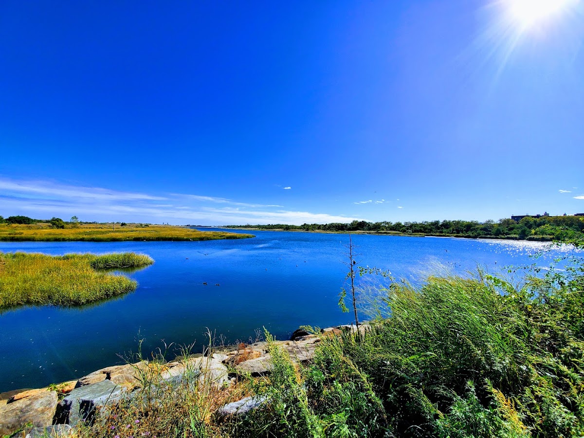 Marine Park — Park