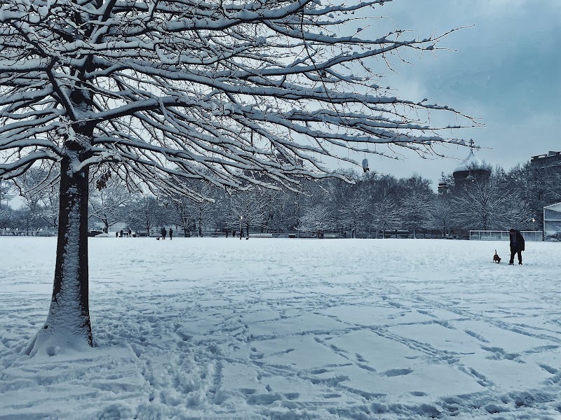 McCarren Park