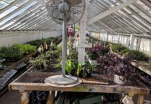 Shannon Florist & Nursery