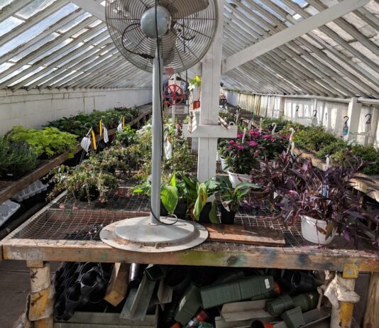 Shannon Florist & Nursery