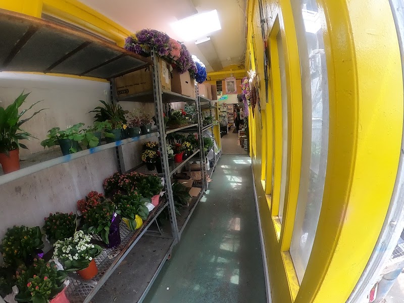 Shannon Florist & Nursery
