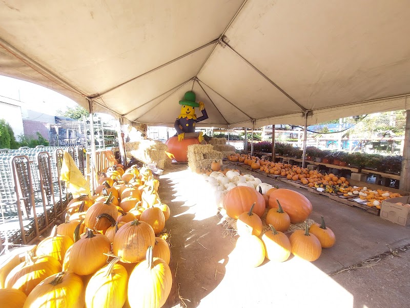 Shannon Florist & Nursery