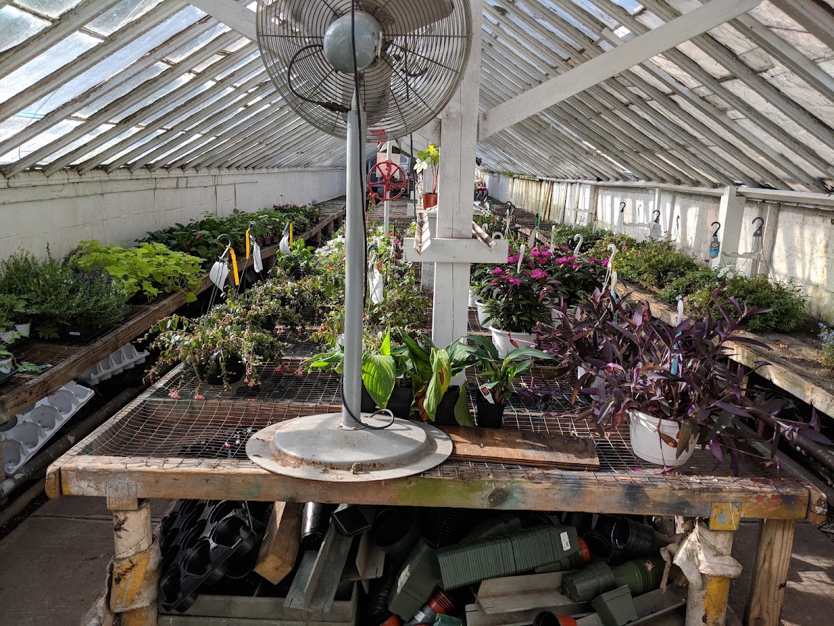 Shannon Florist & Nursery — Florist