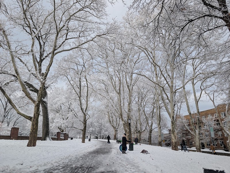 Sunset Park
