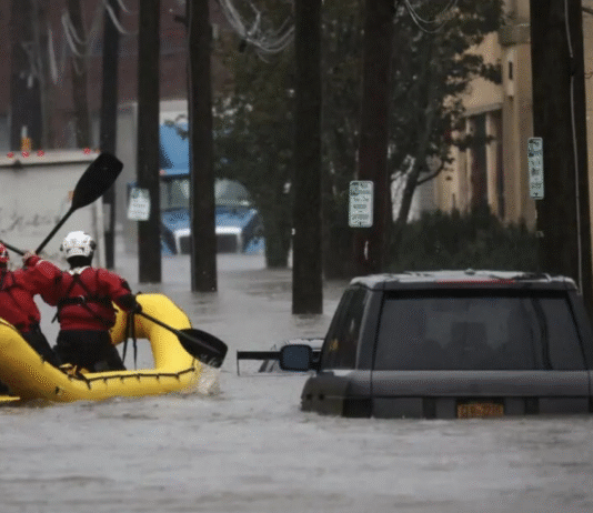 Brooklyn’s Storm Sewers: Why Streets Flood After Heavy Rains and How It’s Being Fixed